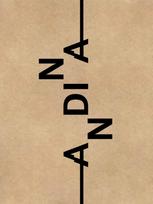 Andina