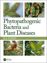 Phytopathogenic Bacteria and Plant Diseases