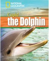 Dolphin Named Cupid