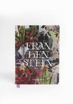 Frankenstein Art Novel