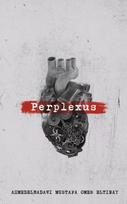 Perplexus