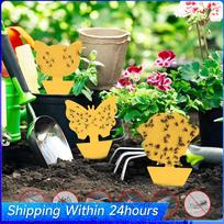 40Pcs Fungus Gnat Killer Protect The Plant Sticky Board Traps Non-Toxic and Odorless Gnat Sticky Traps for Garden Plants Kitchen China Mainland