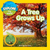 Tree Grows Up