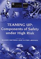 Teaming Up: Components of Safety Under High Risk