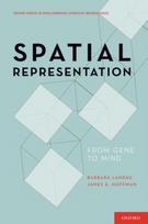 Spatial Representation
