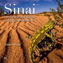 Sinai