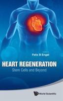 Heart Regeneration: Stem Cells And Beyond