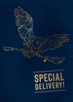 Harry Potter: Hedwig Pop-Up Card