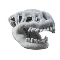 Dinozauro skeletas kostiumas Realistiškas dinozauro kaukolės galvos apdangalas 3D pliušinis stuburas Cosplay rekvizitai Helovino persirengimo aksesuaras