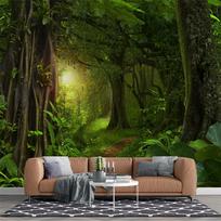 3D Žalias Miškas Gamta Tapetai Miško Peizažas Sienų Paveikslai Svetainė Miegamasis Nuimamas Medžio Sieninis Popierius 200 cm(W) x 140 cm(H)