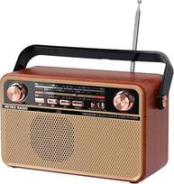 Nešiojamasis "Bluetooth" FM AM SW stereofoninis radijas, palaiko USB diską, USB/TF kortelę, AUX lizdą - atkuria muziką su įkraunama baterija, įmontuotu garsiakalbiu, puikus (Browm)