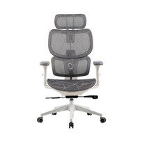 Onex Gaming Office Chair  Ventra Premium Mesh  White