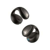 Ausinės ANKER SOUNDCORE C40i Clip-On, atviros, juodos