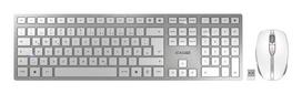 Cherry Mouse and keyboard set JD-9100DE-1 / DW9100S Silver