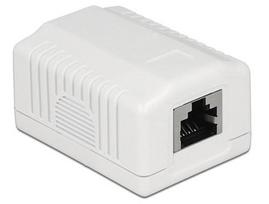 Delock RJ-45 patch panel 1 Port Cat.6a LSA (white)