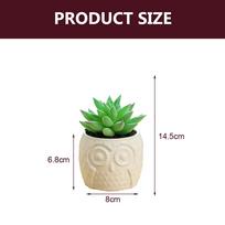 Kiti kūno rengybos produktai, naujas pelėdos keramikos baseino modeliavimo sultingas bonsas, Style2