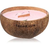 Tropicandle Frozen Cranberry kvapioji žvakė medinė dagtis 350 ml