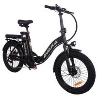 Elektrinis dviratis Avaka BZ20 PLUS 20", juodas