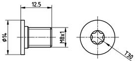 TEXTAR Varžtas, stabdžių diskas bolt, brake disk TPM0002