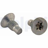DELPHI Varžtas, stabdžių diskas bolt, brake disk BGK001