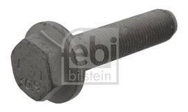 FEBI BILSTEIN Varžtas, stabdžių diskas bolt, brake disk 18625