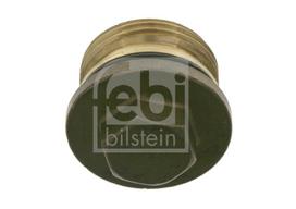 FEBI BILSTEIN Varžtas, rato dangtis 22529
