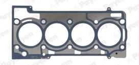 PAYEN Cilindro galvos tarpiklis Seal, cylinder head AH8000