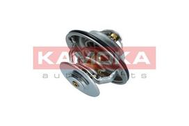KAMOKA Termostatas, aušinimo skystis 7710048