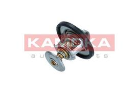 KAMOKA Termostatas, aušinimo skystis 7710044