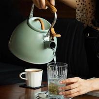 Light Green Whistling Tea Kettle 3L Capacity Stainless Steel Teapot Stovetop Tea Pot  Home Use