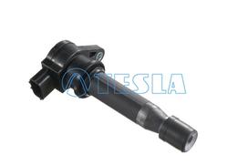 TESLA Uždegimo ritė CL315