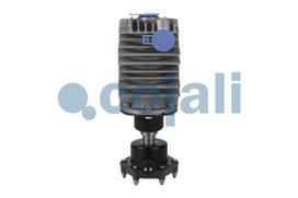 COJALI Oro filtras, kompresorius 2480004
