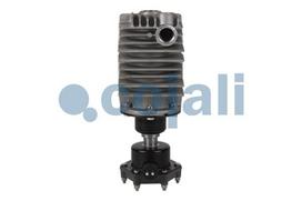 COJALI Oro filtras, kompresorius 2480007