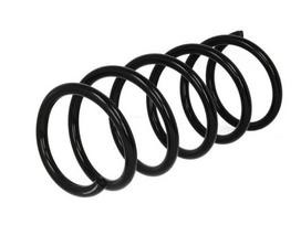 Magnum Technology Spyruoklė Spring SR134MT