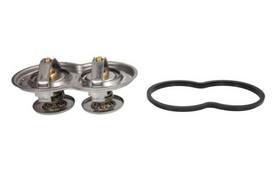 THERMOTEC Termostatas D2SC003TT