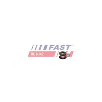 FAST Remonto komplektas, siurblio-purkštukų blokas FT01835