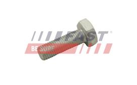 FAST Varžtas, stabdžių diskas bolt, brake disk FT30601