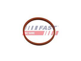 FAST Tarpiklis, turbinos oro žarna FT48932