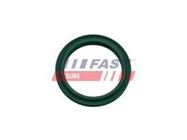 FAST Tarpiklis, turbinos oro žarna FT48933