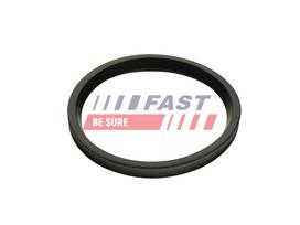 FAST Tarpiklis, turbinos oro žarna FT48947