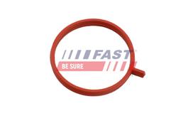 FAST Tarpiklis, turbinos oro žarna FT48963
