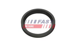 FAST Tarpiklis, turbinos oro žarna FT48956