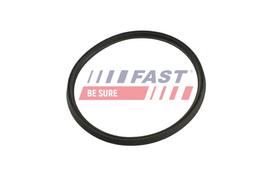 FAST Tarpiklis, turbinos oro žarna FT48965
