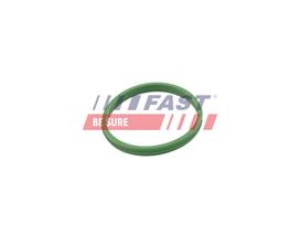 FAST Tarpiklis, turbinos oro žarna FT49855