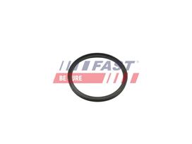 FAST Tarpiklis, turbinos oro žarna FT49857