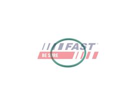 FAST Tarpiklis, turbinos oro žarna FT49921