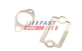 FAST Tarpiklių rinkinys, AGR sistema FT49925