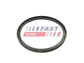 FAST Tarpiklis, turbinos oro žarna FT49922