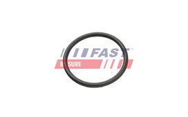 FAST Tarpiklis, turbinos oro žarna FT49935