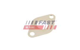 FAST Tarpiklių rinkinys, AGR sistema FT50609